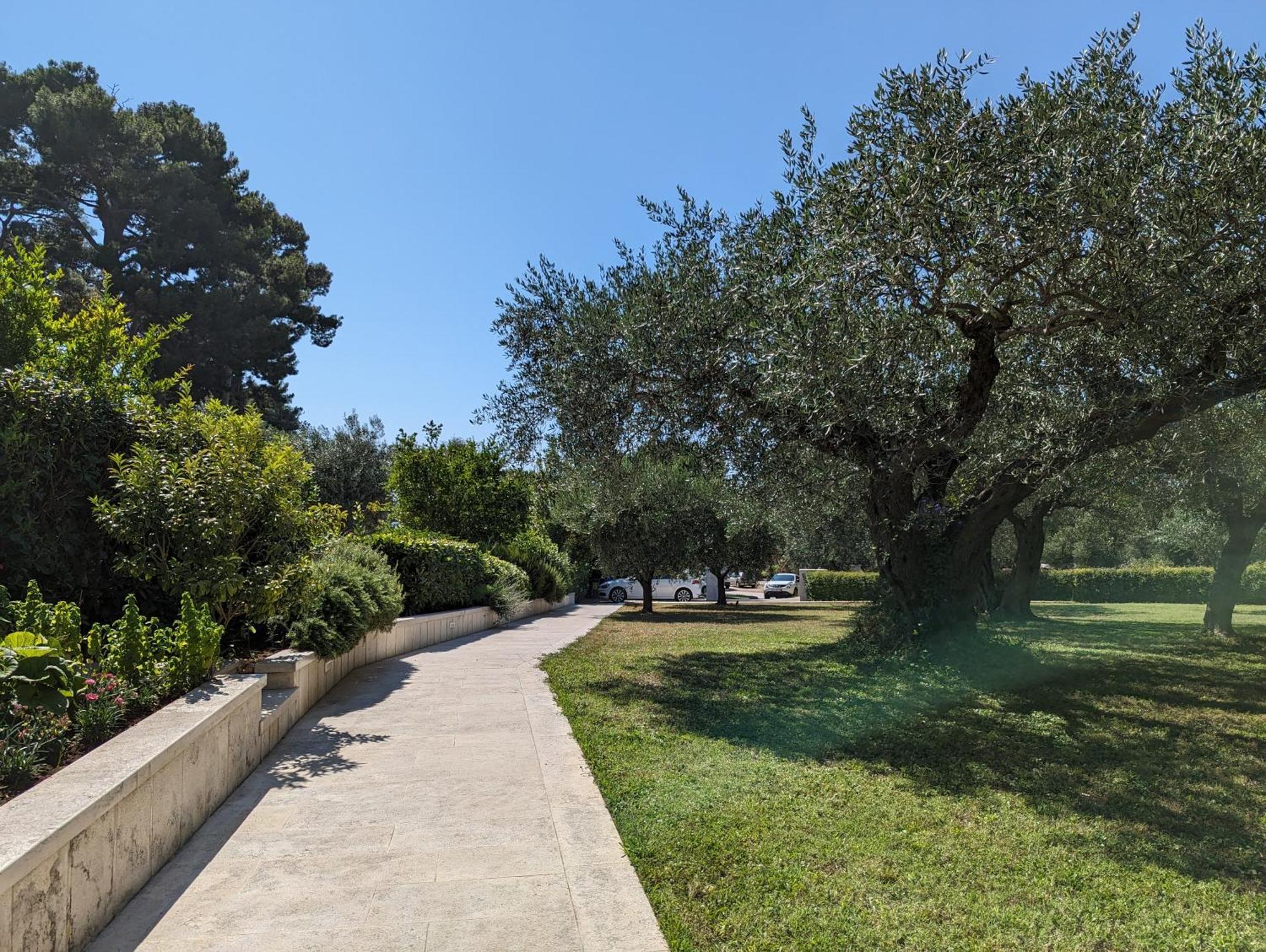 The Best Sunset Apartments Ρόβινι Εξωτερικό φωτογραφία